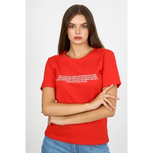 Alexander Gardi Alexandergardı Baskılı T-Shirt (B21-33501)