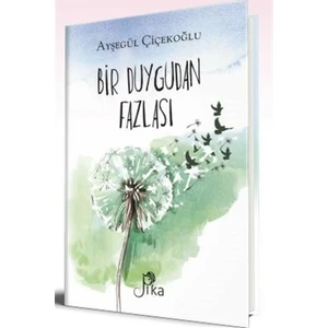 Bir Duygudan Fazlası - Ayşegül Çiçekoğlu   Ciltli