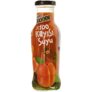 Kayısı Suyu 250 ml
