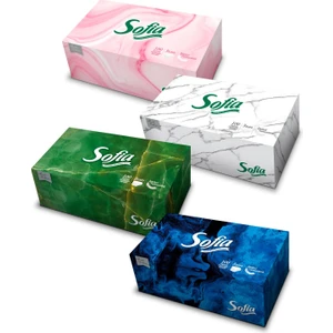 Kutu Mendil 100 Yaprak 4 Paket
