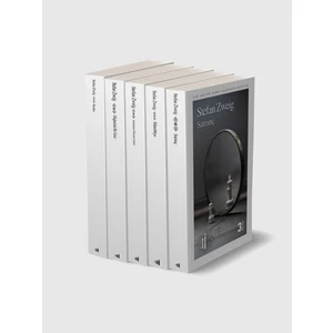 Ilgi Kültür Sanat Yayınları Zweig Seti 5 Kitap
