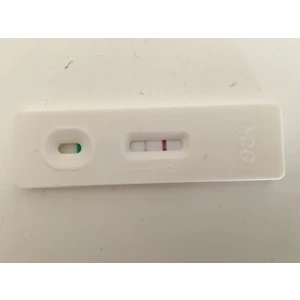 Hamilelik Testi