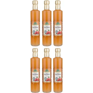 Organik Elma Sirkesi 6 x 500 ml