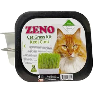 Dalong Zeno Kedi Çimi