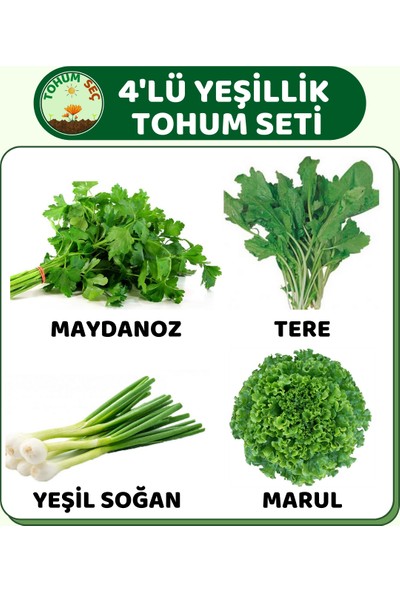 Tohum Seç 4'lü Yeşillik Paketi (Maydanoz, Tere, Yeşil Soğan, Marul) Tohum Seti, Toplam +500 Adet Tohum