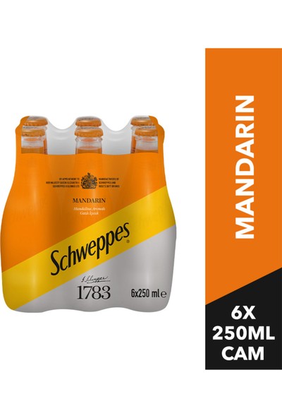 Schweppes Mandalina Cam Şişe 6X250 ml