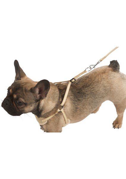 Yavru Köpek Tasması Puppy Harness