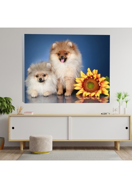 Renkli Çizgili Kanvas Tablo