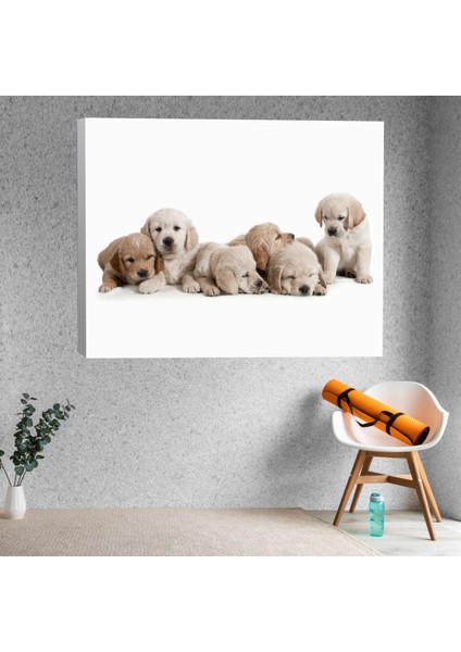 Köpek Yavrusu Temalı Kanvas Tablo