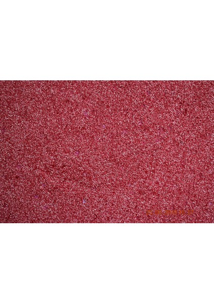 Premium Canli Siva Eco 14 2kg Paket Kırmızı fiyatları