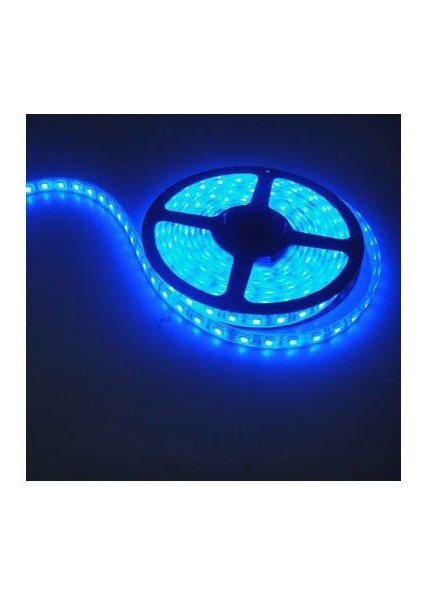 Mavi 3 Cip Iç Mekan Şerit LED 5 Metre + 5 Amper 12 Volt Trafo Dahil Ikili Set Mavi Işık fiyatları
