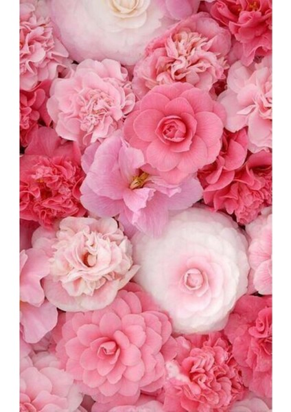 15 Adet Karışık Çiçek Tohumu