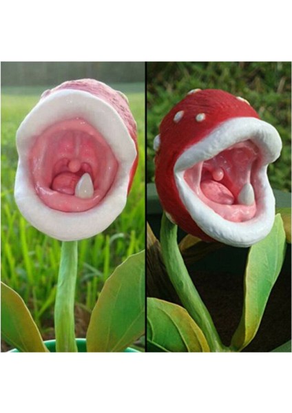 Etçil Etobur Sinek Kapan Bitkisi Tohumu 5 Adet Tohum