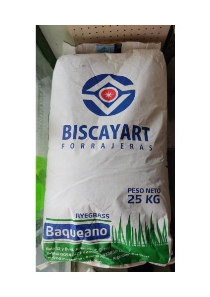 5 kg Italyan Süt Otu Ithal Ryegrass Tohumu Baqueano (25 kg Lık Ambalajından Bölünerek Gönderilir)