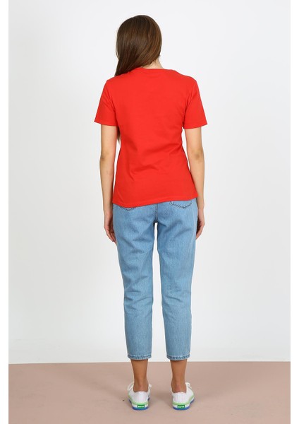 Alexandergardı Baskılı T-Shirt (B21-33501)