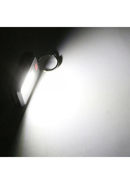 Ortam Aydınlatan 350 Lümen Anahtarlık modelleri