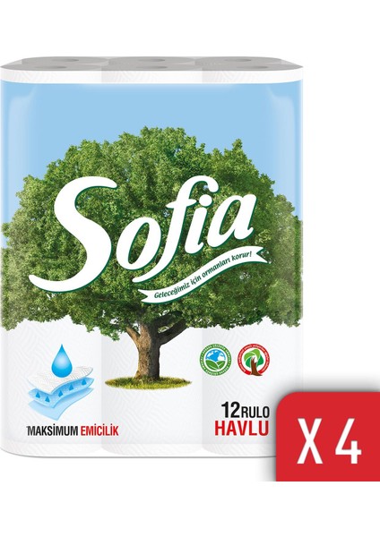 Mutfak Kağıt Havlusu 12'li 4'lü Paket