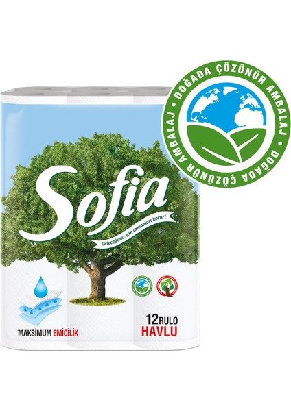 Mutfak Kağıt Havlusu 12'li 4'lü Paket fiyatları