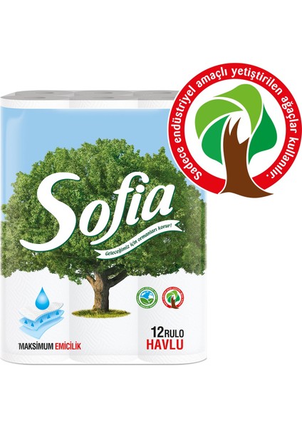 Mutfak Kağıt Havlusu 12'li 4'lü Paket modelleri