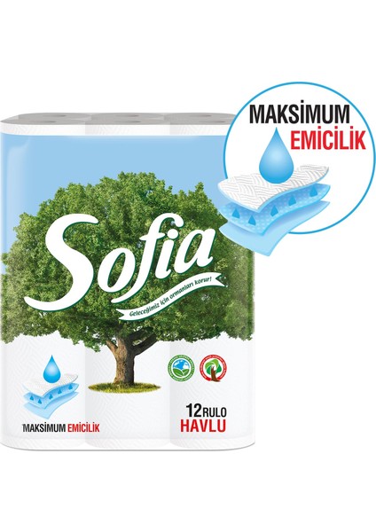 Mutfak Kağıt Havlusu 12'li 4'lü Paket fırsatları