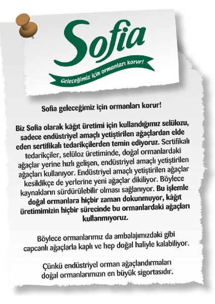 Mutfak Kağıt Havlusu 12'li 4'lü Paket indirimleri