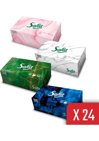 Kutu Mendil 100 Yaprak 24 Paket