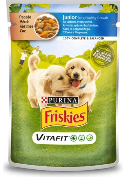 Tavuklu ve Havuçlu Pouch Konserve Yavru Köpek Maması 20 x 100 gr