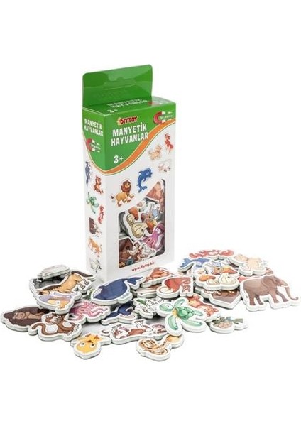 Manyetik 6 Lı Set, Harfler, Sayılar, Hayvan, Meyve, Taşıt Tangram, Eğitici Magnet
