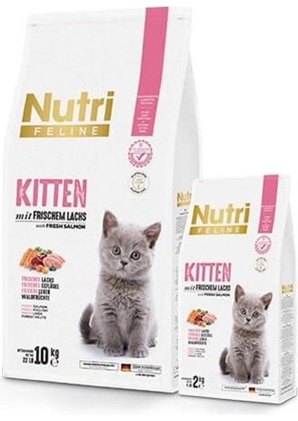 Nutri Feline Kitten Yavru Tahılsız Kedi Maması 2 kg