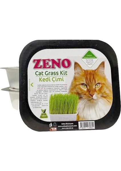 Dalong Zeno Kedi Çimi