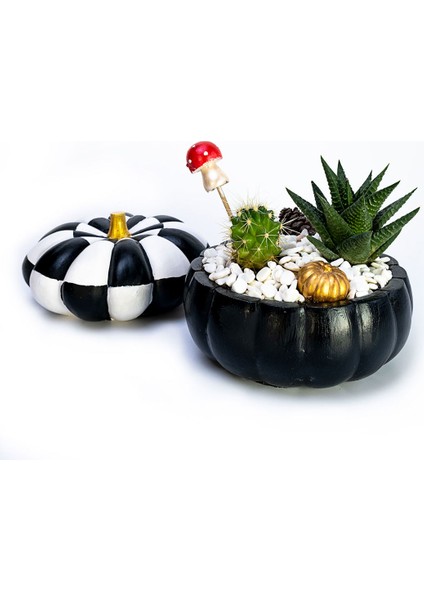 Black Kabak Saksıda Sukulent Aranjmanı ve Dama Dekoratif Bal Kabağı fiyatları