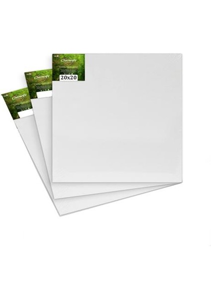 20X20 cm Tuval