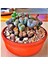 Lithops Taş Çiçek Tohumu 15 Adet 1