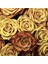 5 Adet Gold Rose Gül Tohumu 1