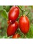 Amish Paste Domates 15 Tohum 1