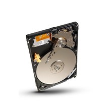 Seagate Momentus 500B 7200RPM Sabit Disk ST9500423AS