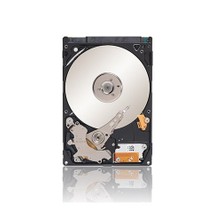 Seagate Momentus 500B 7200RPM Sabit Disk ST9500423AS