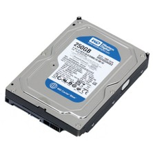 WD Blue 250GB 16MB 7200rpm Sata3 3,5'' Sabit Disk WD2500AAKX