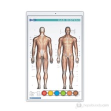 Gürbüz Yap-Boy Kabartmalı Kas Sistemi 35X50 cm 28012