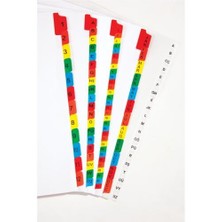 Exxo Mylar Destekli Karton Seperatör January-December Renkli (TM102)