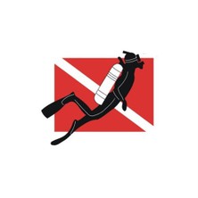 Sticker Master Dalış Dalgıç Sticker Oto Motor Pc Etiket