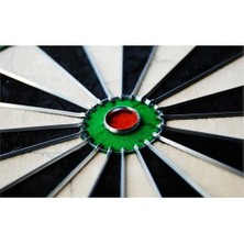 Winmau Diamond Dart Board