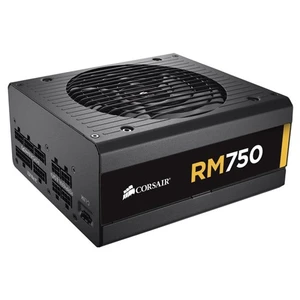 RM750 750W Tam Modüler 80+ Gold Power Supply (CP-9020055-EU)