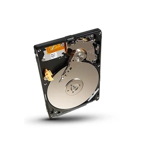 Momentus 500B 7200RPM Sabit Disk ST9500423AS