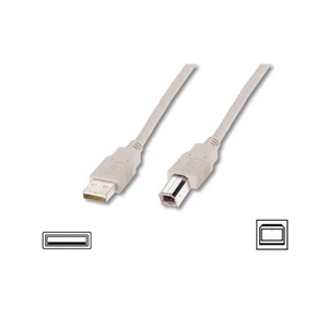 Ak-300105-050-E Dıgıtus Usb 2.0 Bağlantı Kablosu, Tip A Erkek - Tip B Erkek, 5 Metre, Awg 28, Us