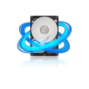 Barracuda® 1TB 7200RPM SATA 6 Gb/sn Sabit Disk ST31000524AS