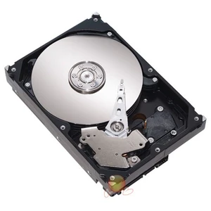 1 TB 7200RPM 32MB Ncq SATA2 Sabit Disk (ST31000528AS)