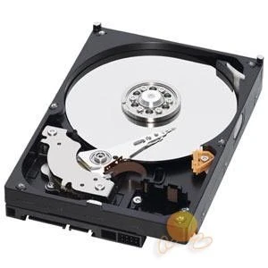 Western Digital Caviar GreenPower 1TB 64MB Sata2 3,5" Sabit Disk WD10EARS