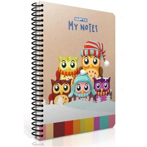 My Notes 2785 Spiralli P.K. A4 100 Yaprak Çizgili Defter