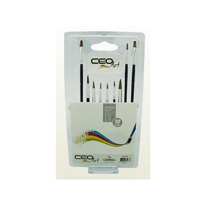Art Fırça Seti 10'Lu  Ceo00023